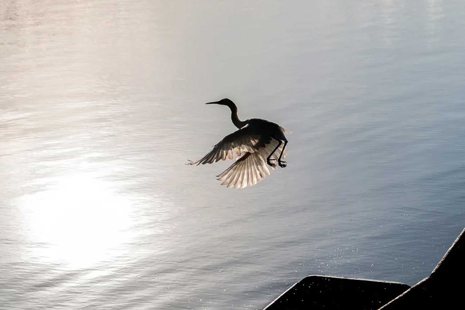 Marcele Siqueira (3)