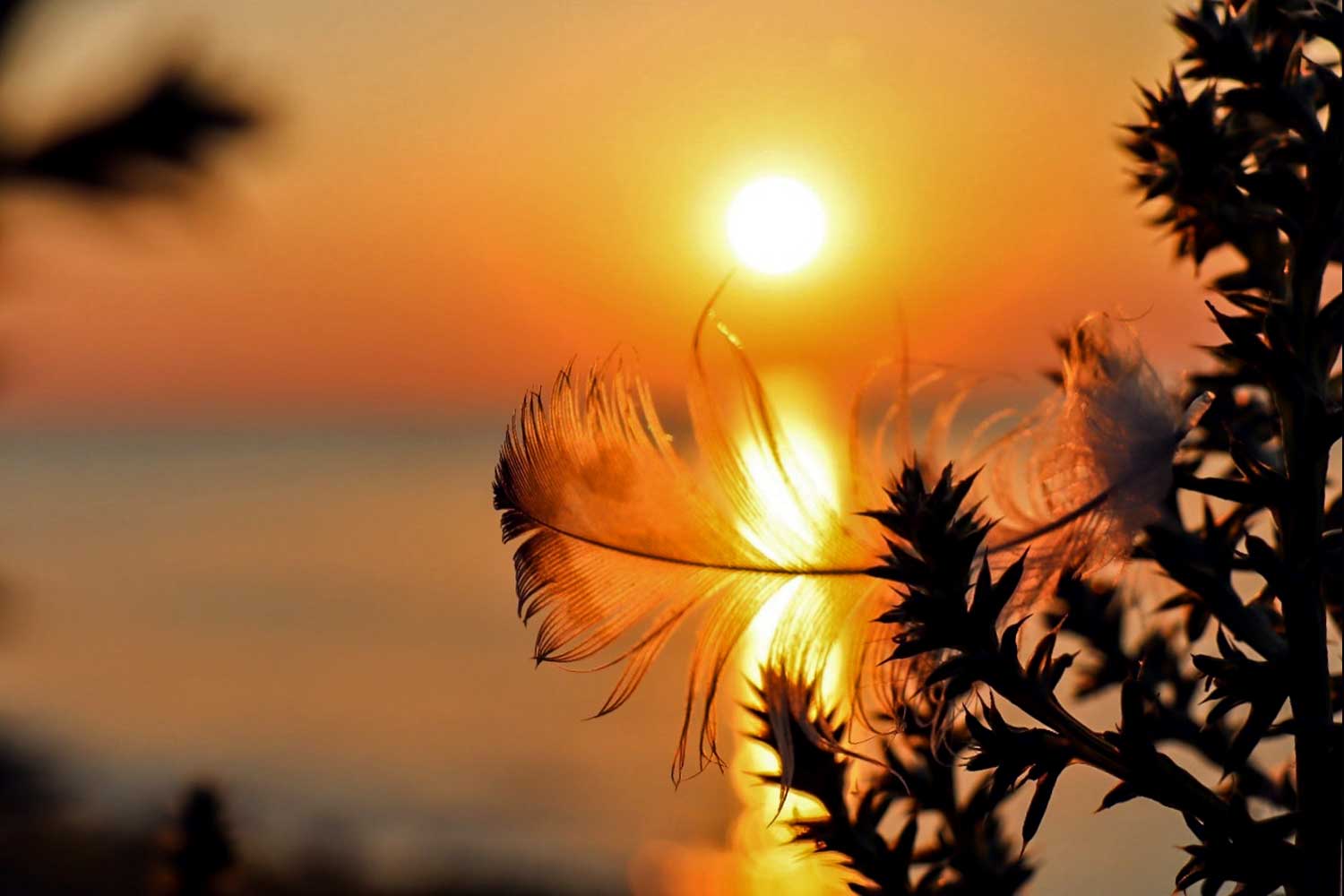 Florentina Marin (1)