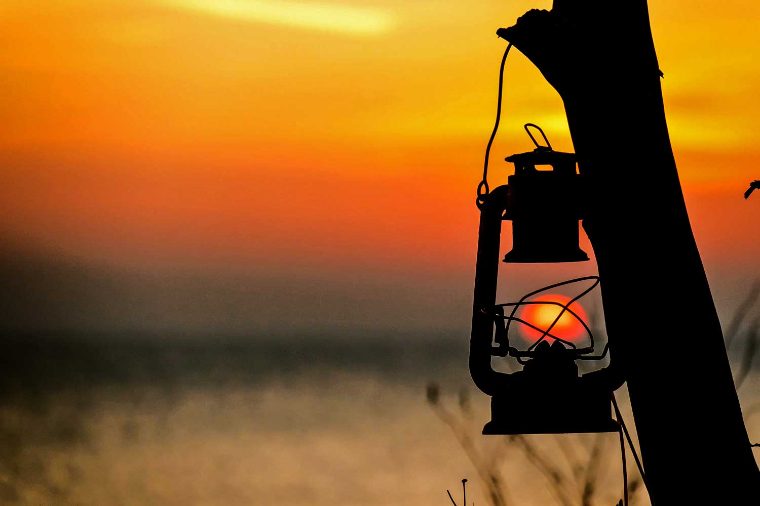 Florentina Marin (2)