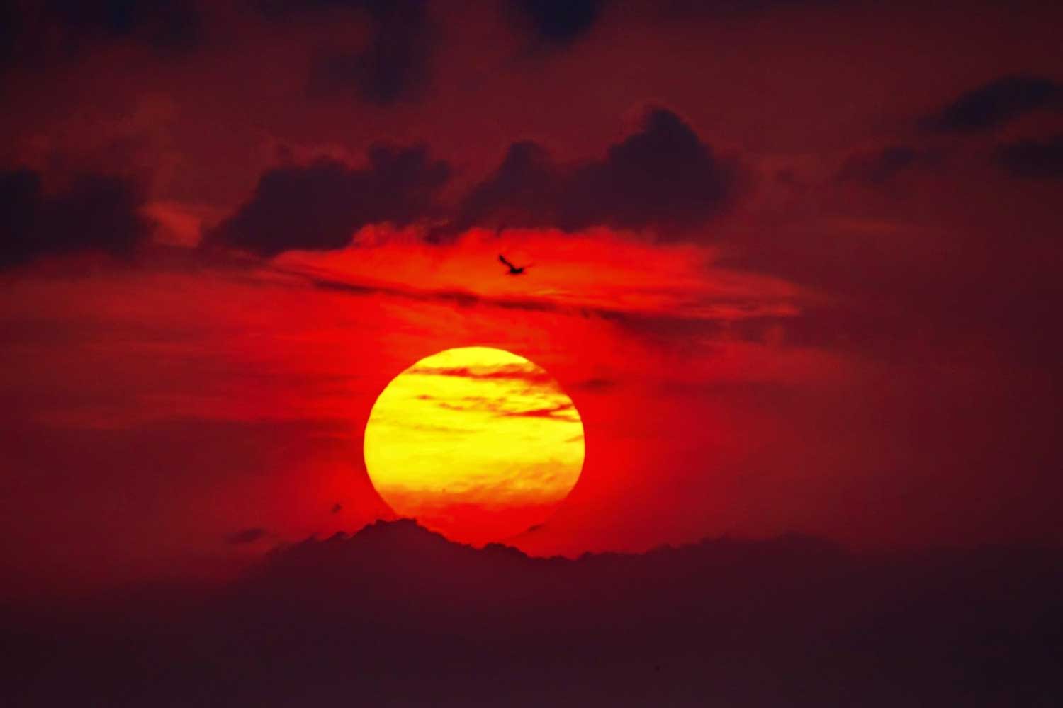 Florentina Marin (4)