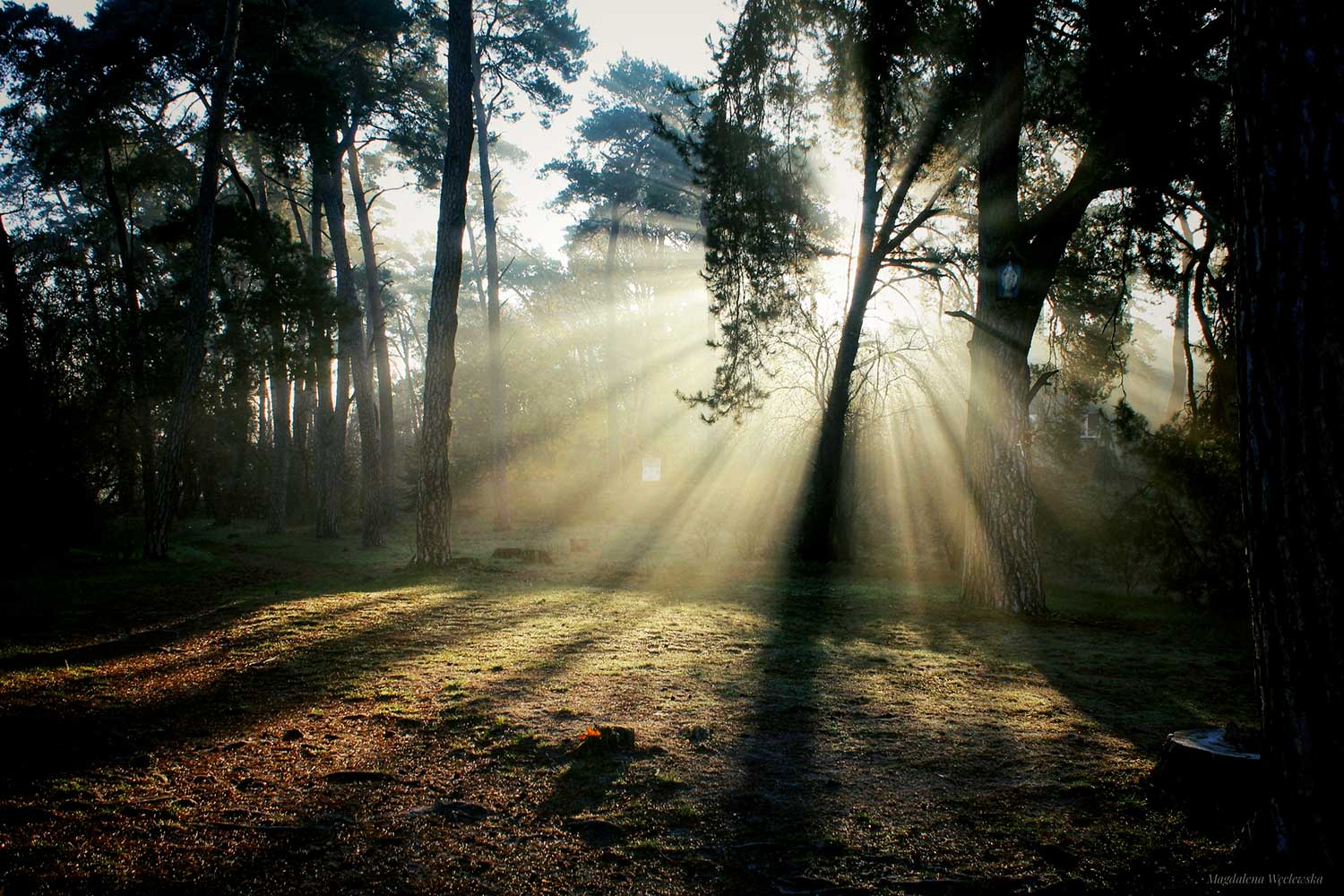 Magdalena Weclewska (1)