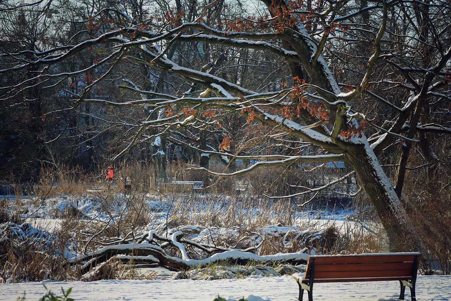 Magdalena Weclewska (3)