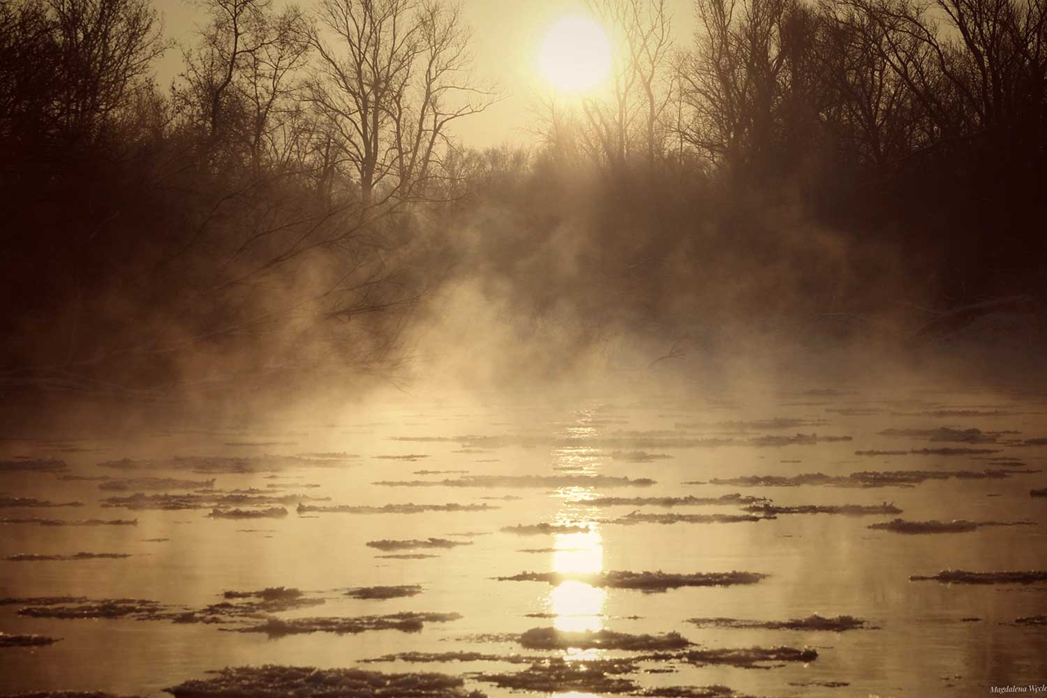 Magdalena Weclewska (4)