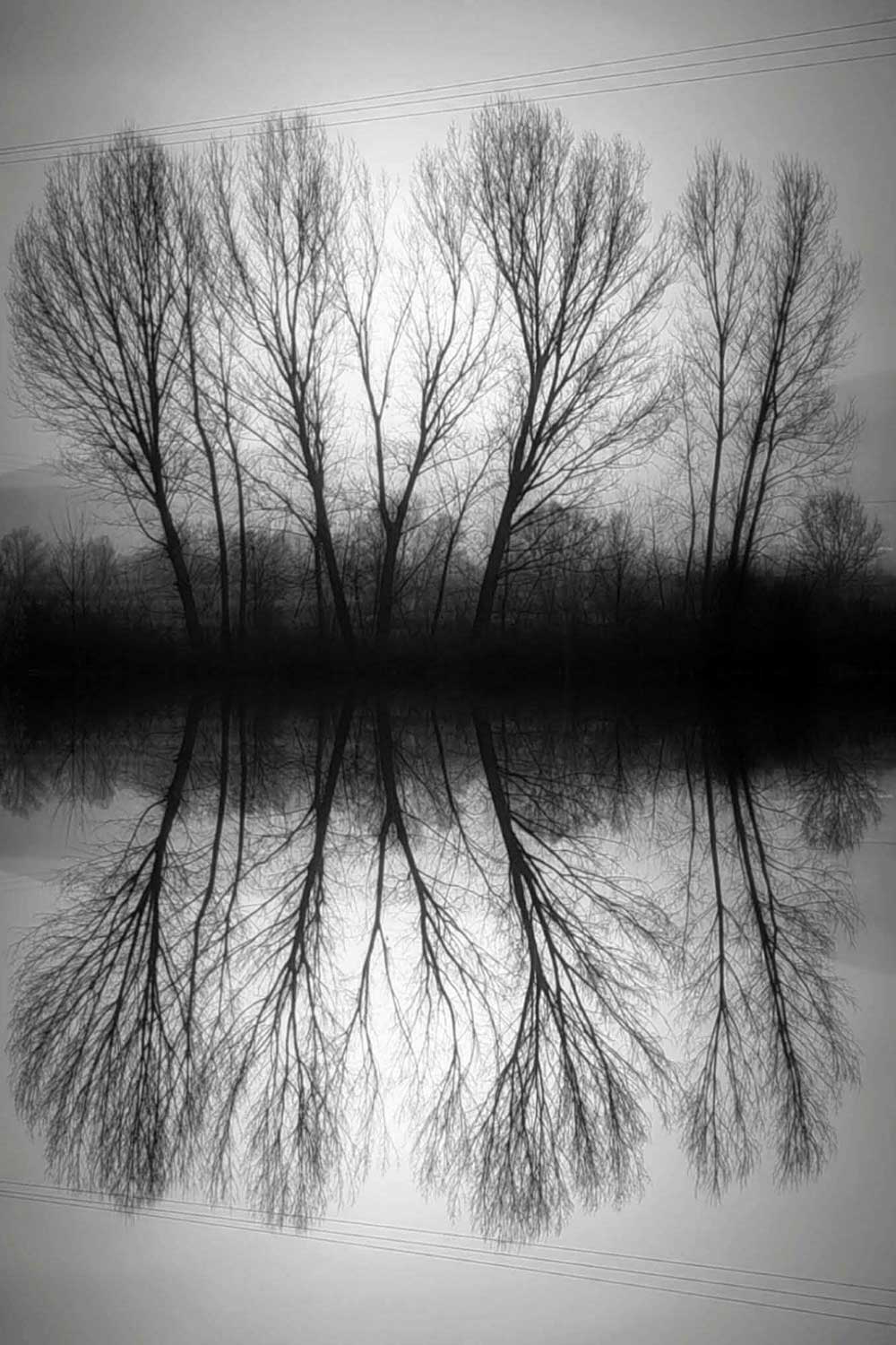 Evangelia Mavridis (2)