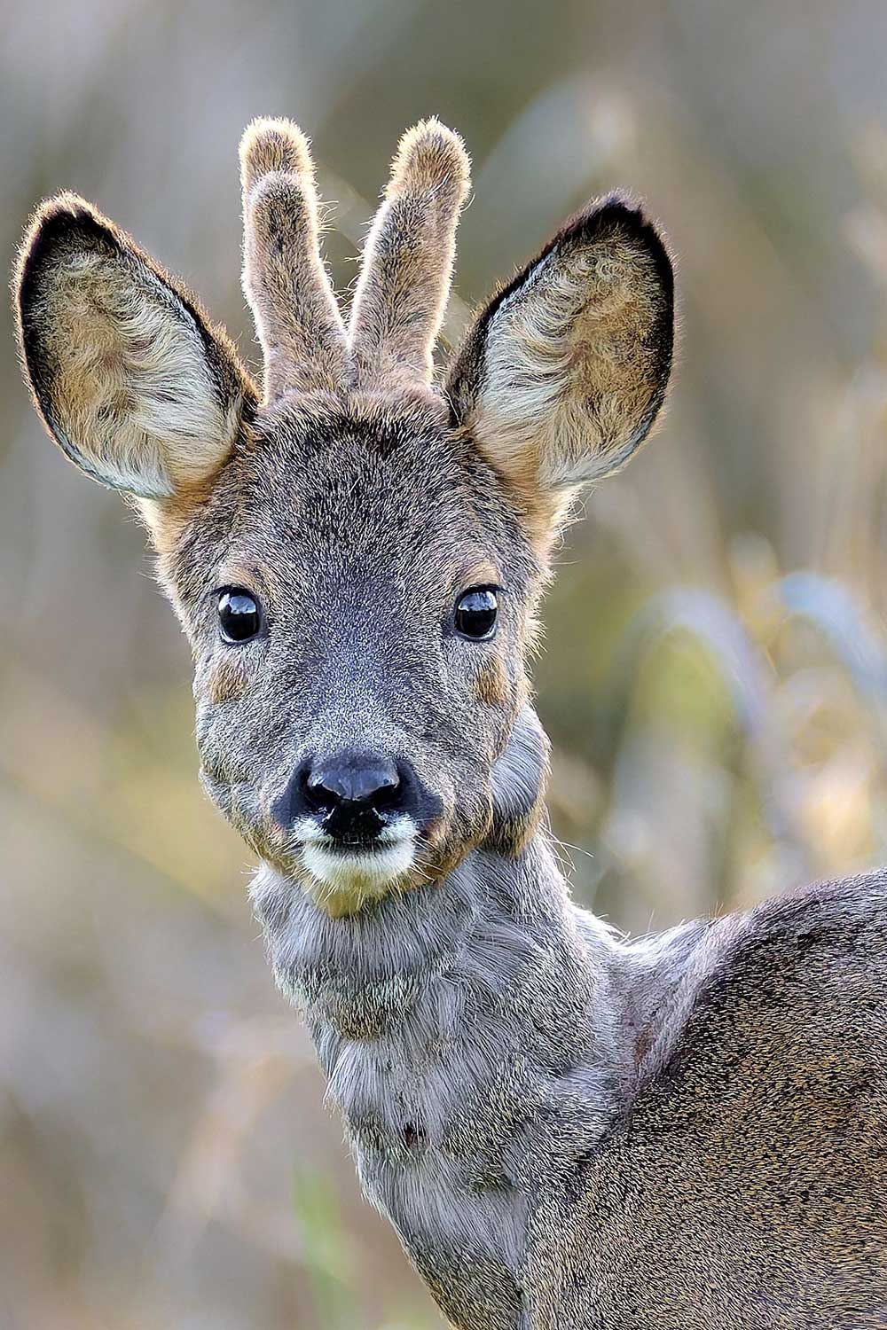 Marianne Doornbos-Veenstra (4)